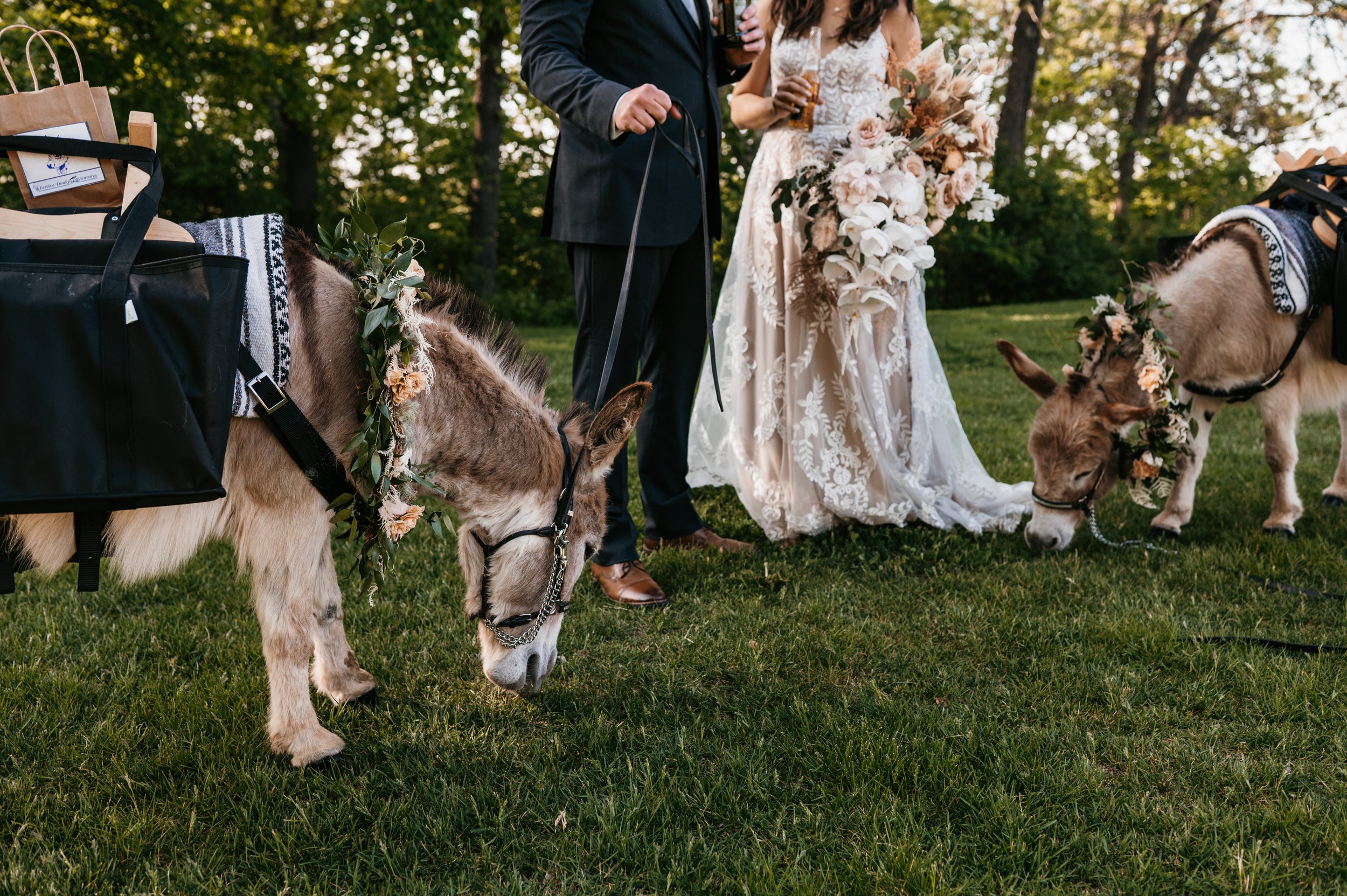 Donkey Wedding - Katie Lee Photography.jpg