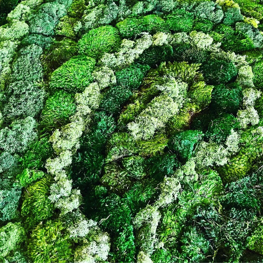 Moss Detail Swirl.jpg