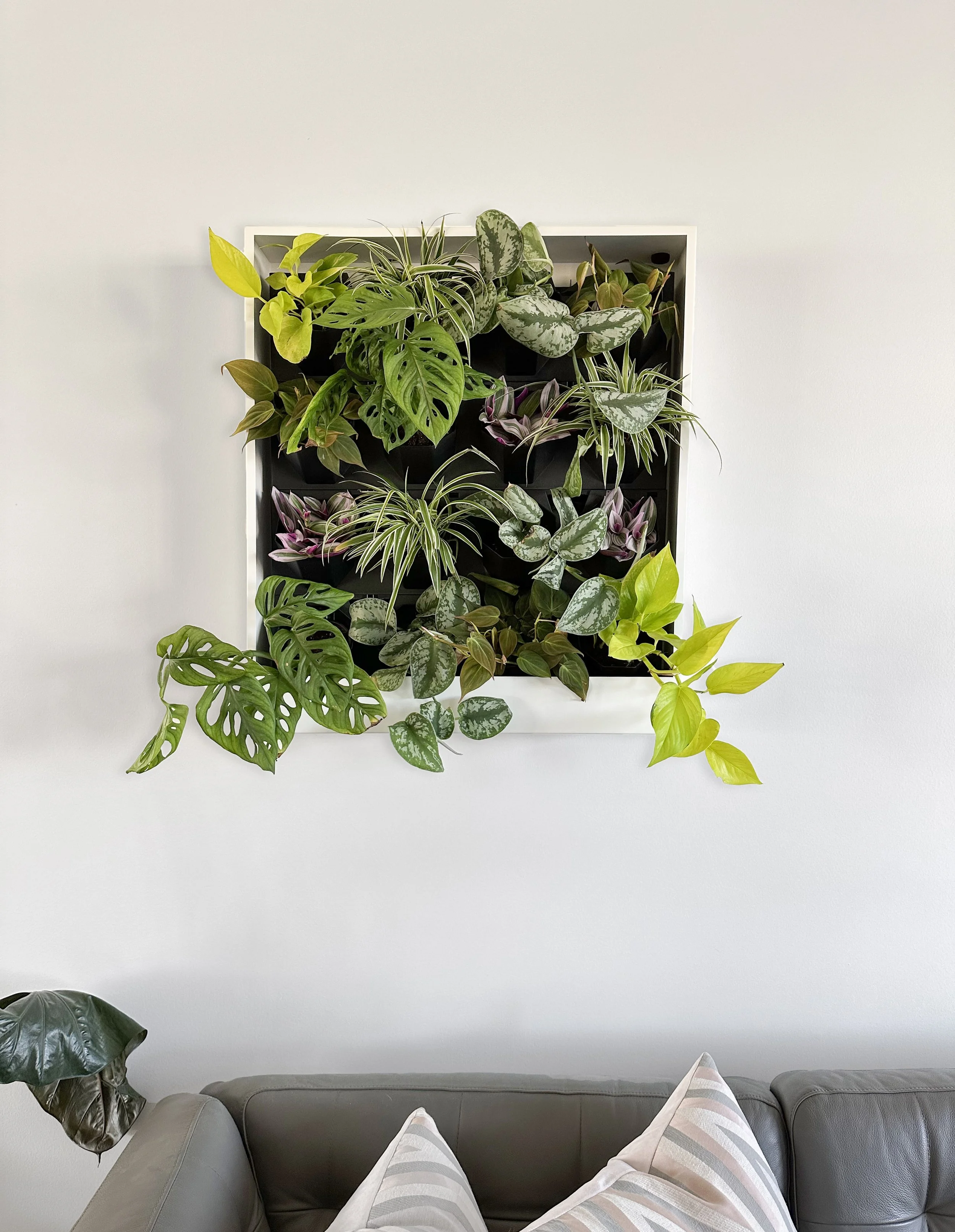 A closer look at Luxury Apartment Renovation With Green Walls And Living Plants