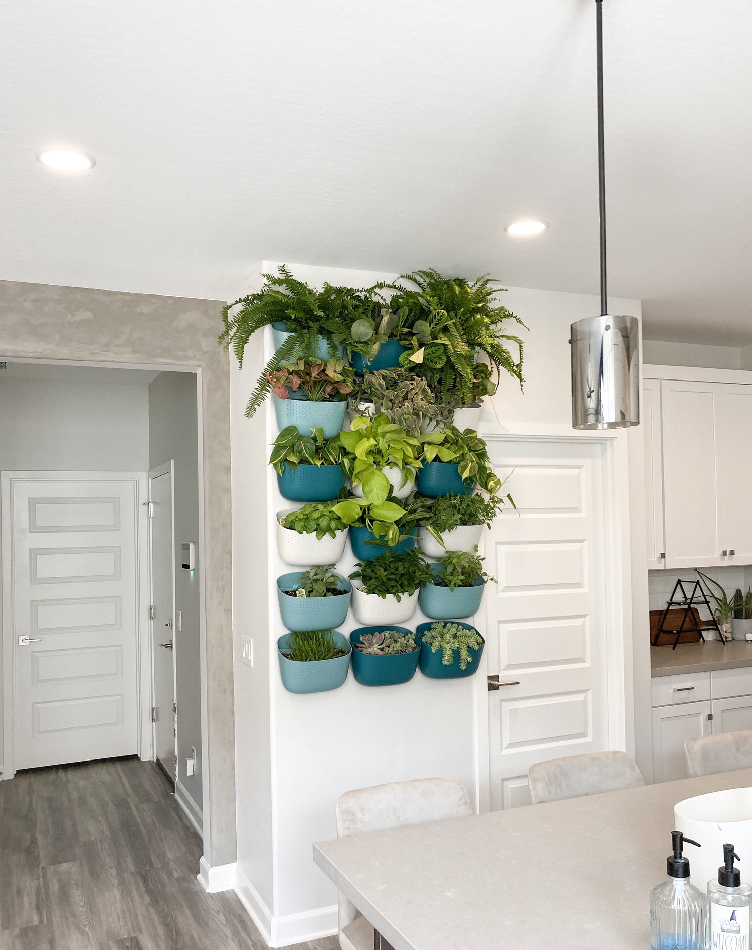 Curated visual reference: Visual Reference: Living Green Wall Project Gallery