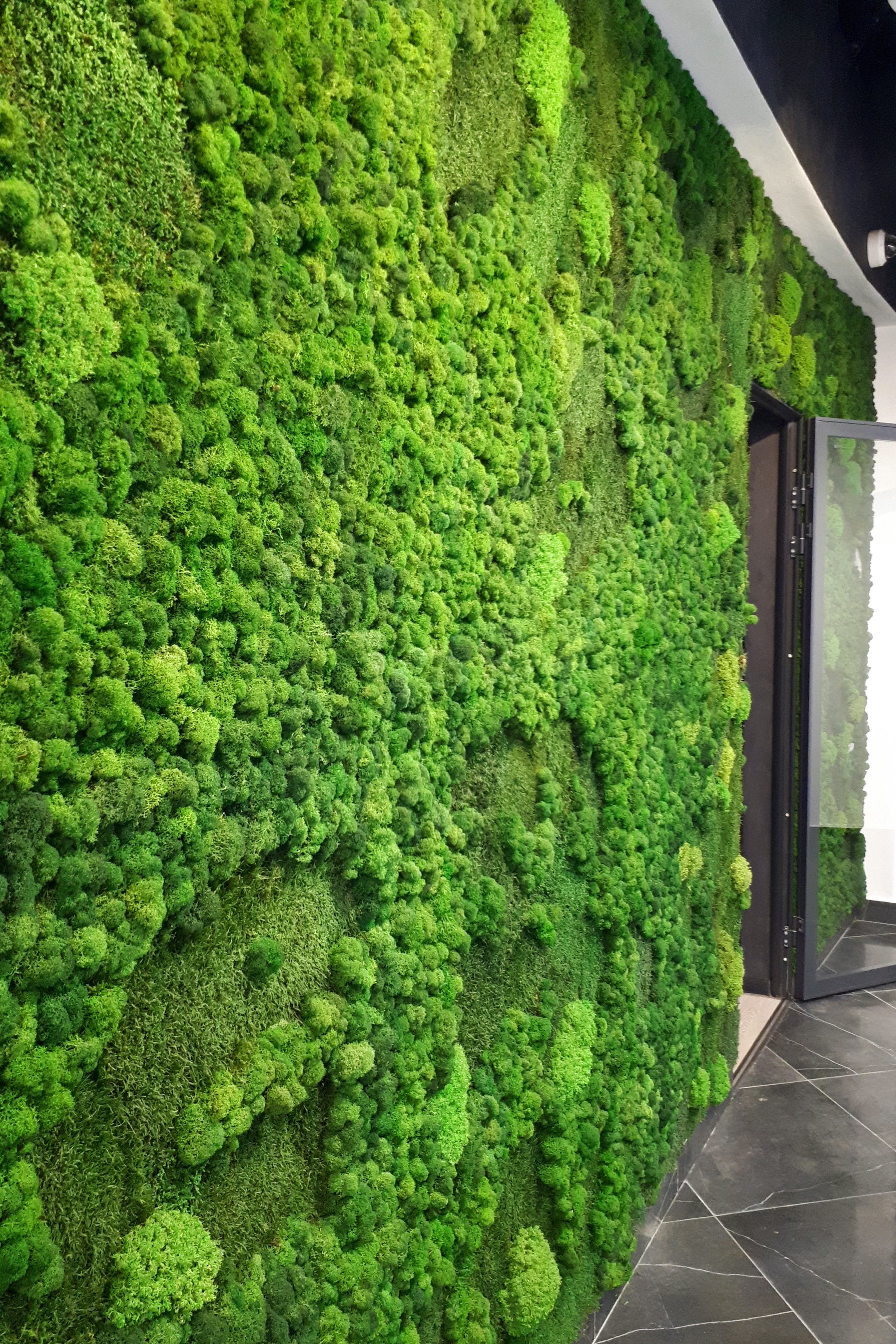 What Are Moss Walls and How Do They Work? — Vert Plantworks