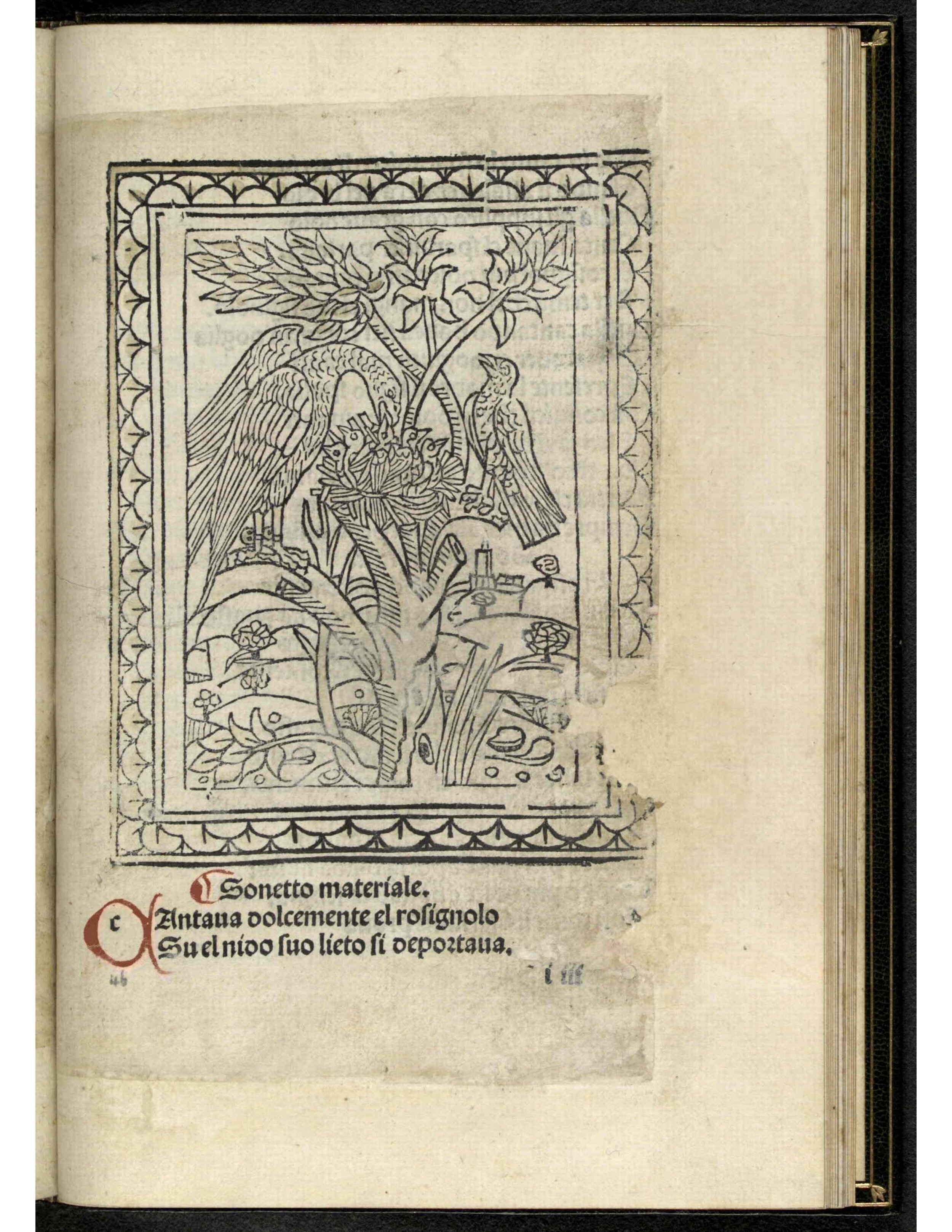 Aesop's Fables