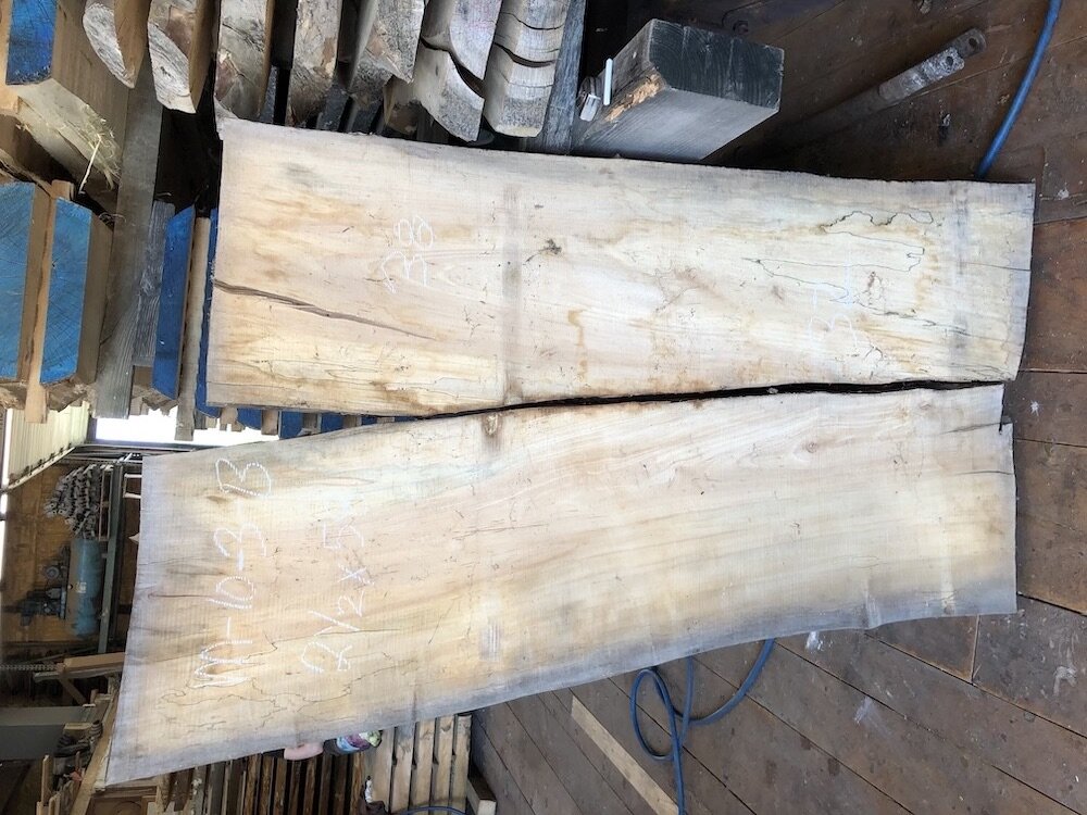 Maple-crotch-10-3