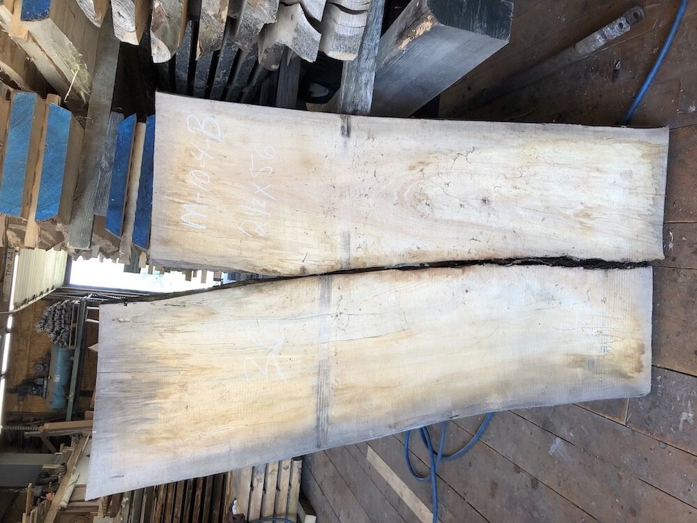 Maple Crotch 10-4