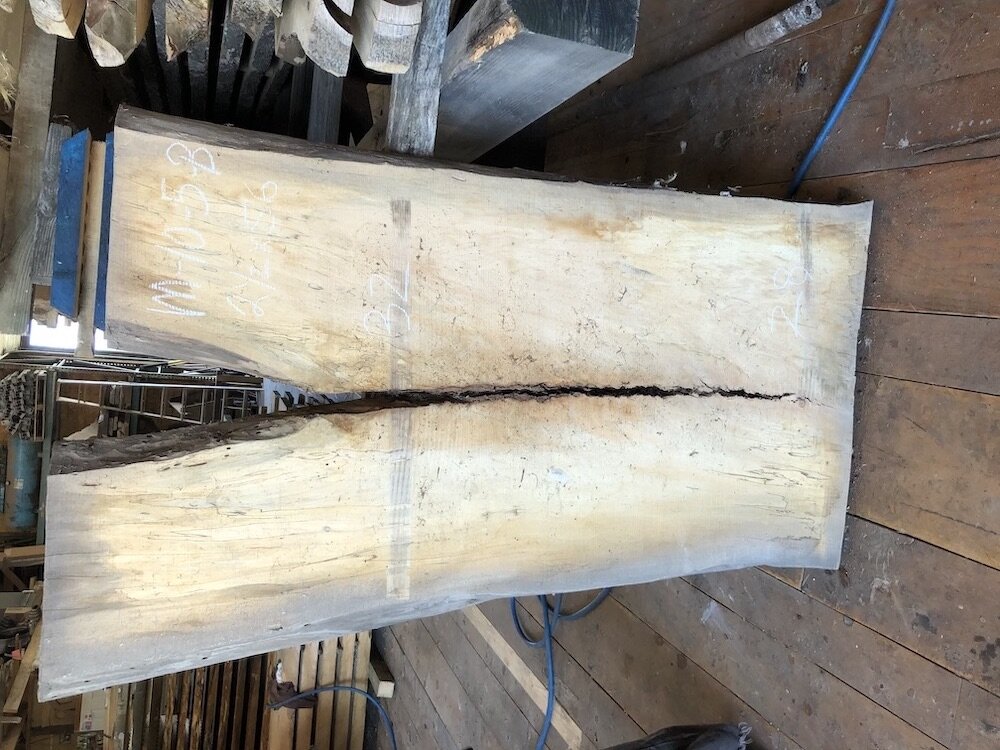 Maple Crotch 10-5