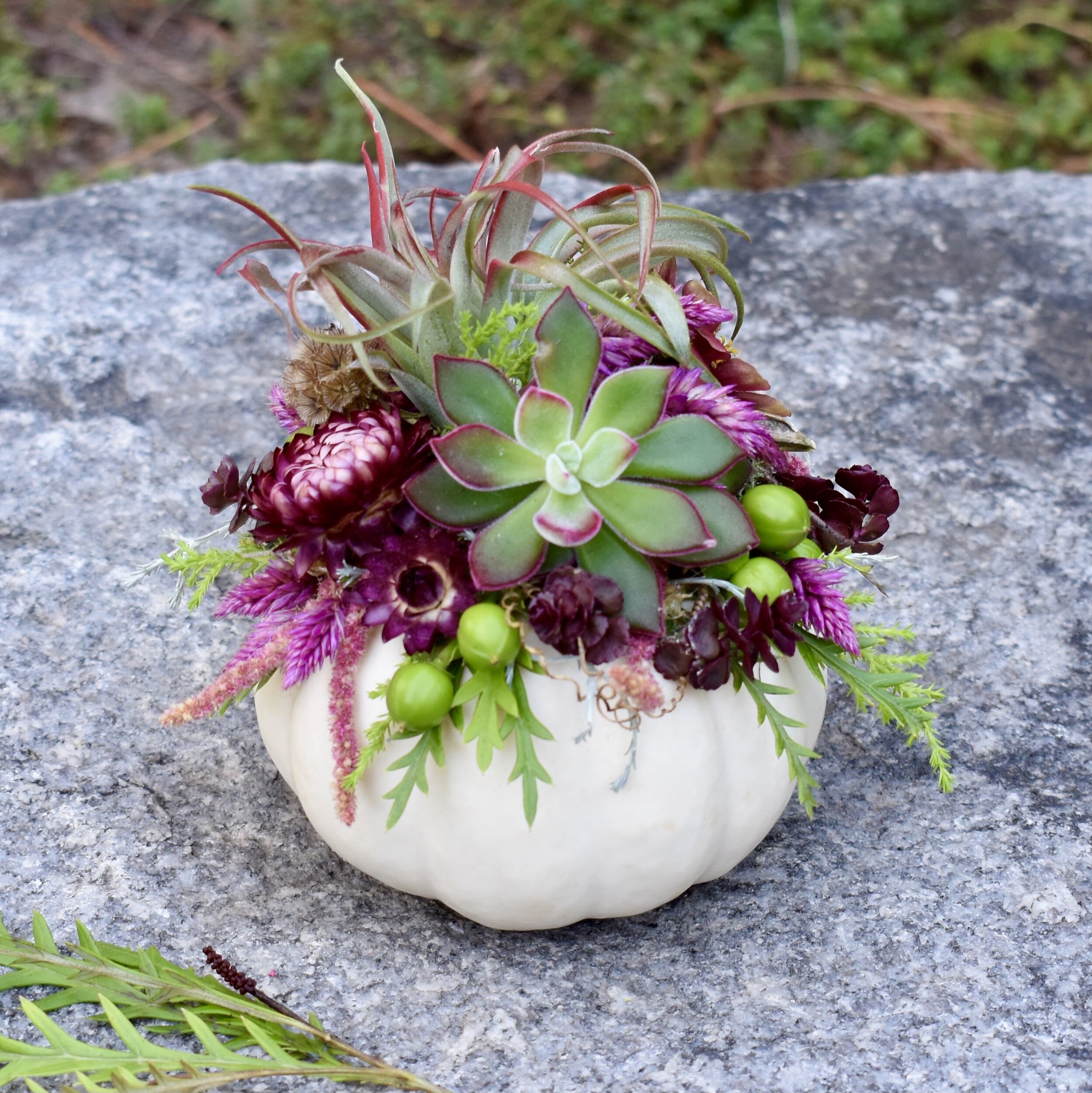 Small succulent bowl