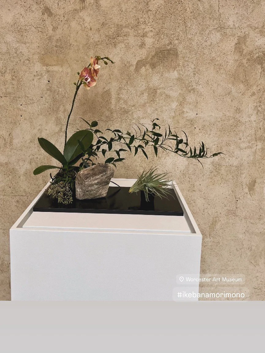 This design was part of the recent WAM Flora in Winter show, which featured several Ikebana designs.  This is in the Morimono style, which evolved from arranging fruits and plants for tea gatherings in the Edo period of Japan (~1600-1870). Since the 