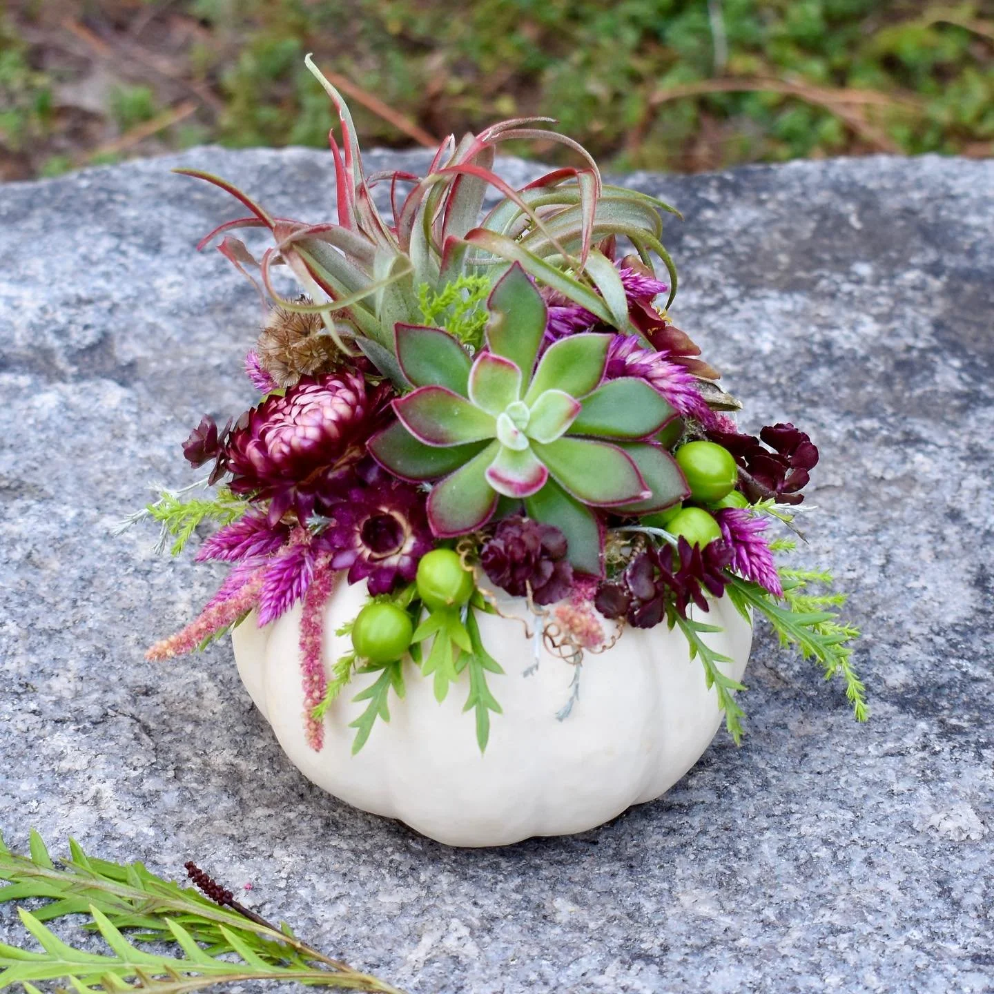 Embellished Pumpkin Workshop time again!  Please join us at New England Botanic Garden in Boylston, MA, on Thursday, October 22, 6-8 PM.  All supplies provided (bring your own clippers if you have your favorite ones). Lots of goodies available to use