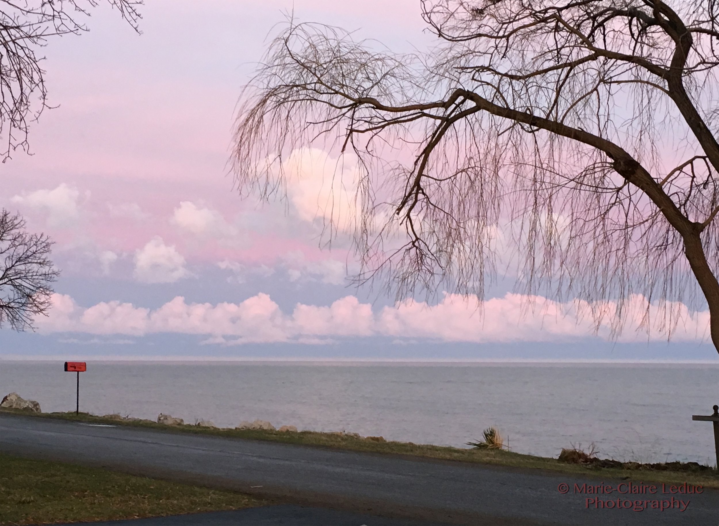 Pink winter by Lake Erie