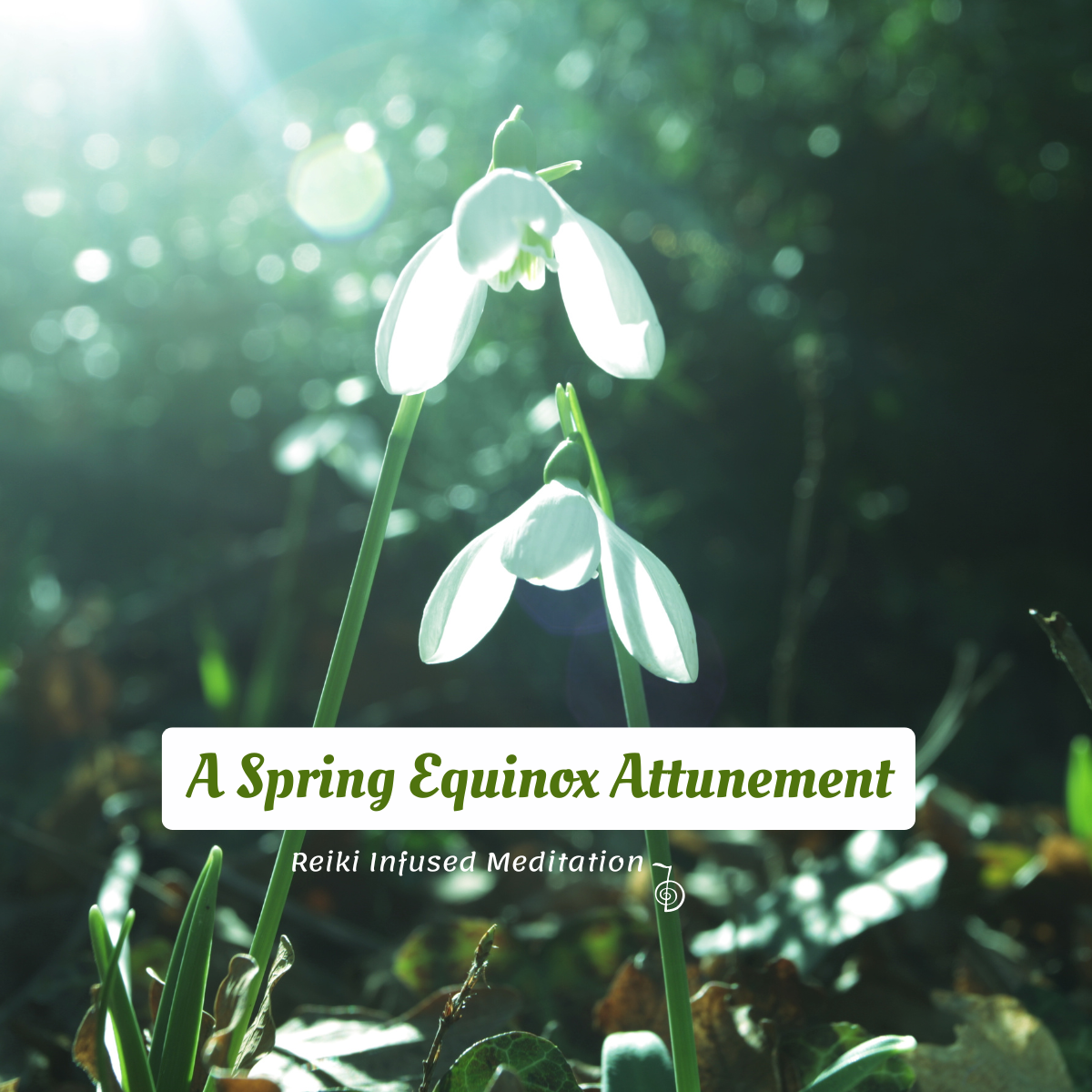 Spring Equinox Meditations 