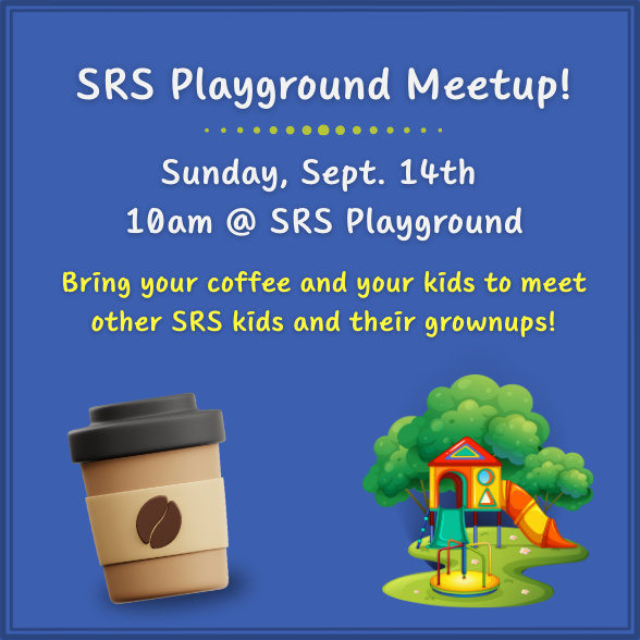 SRS Playground Meetup