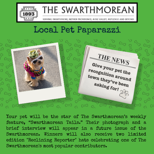 Bingo Raffle: Swarthmorean Pet Paparazzi Basket