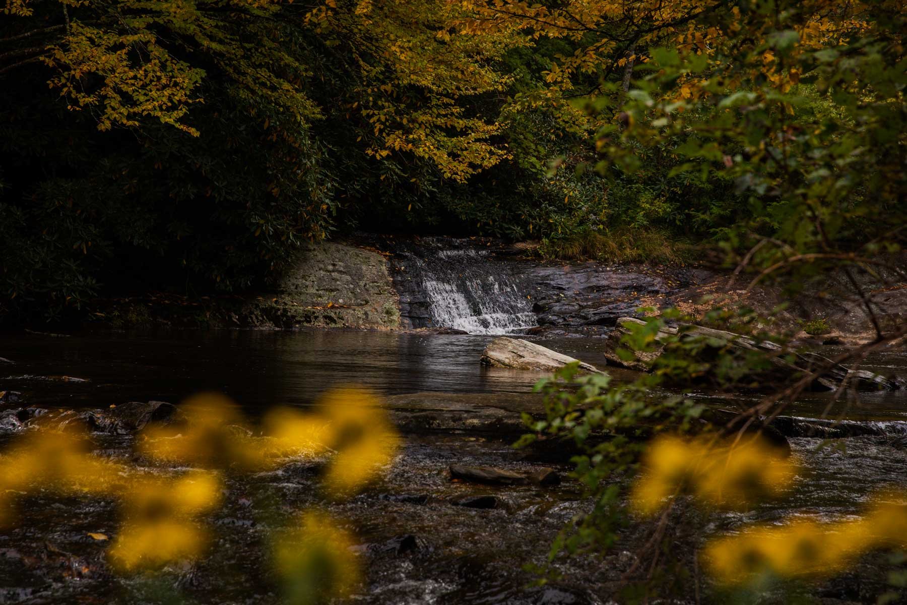 Boone-fork-trail-blowing-rock-1.jpg