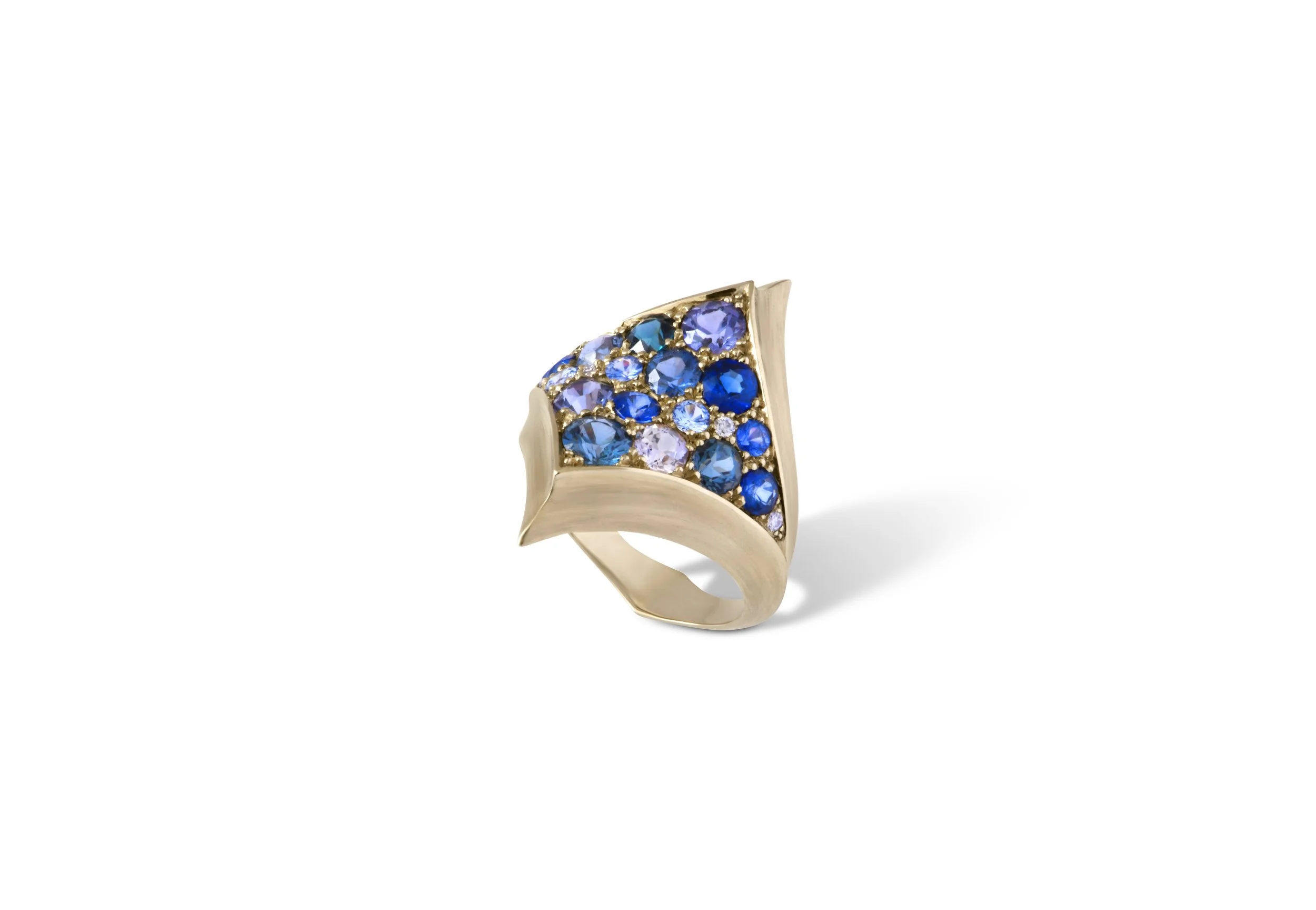 Ring Shield Winter vibes
