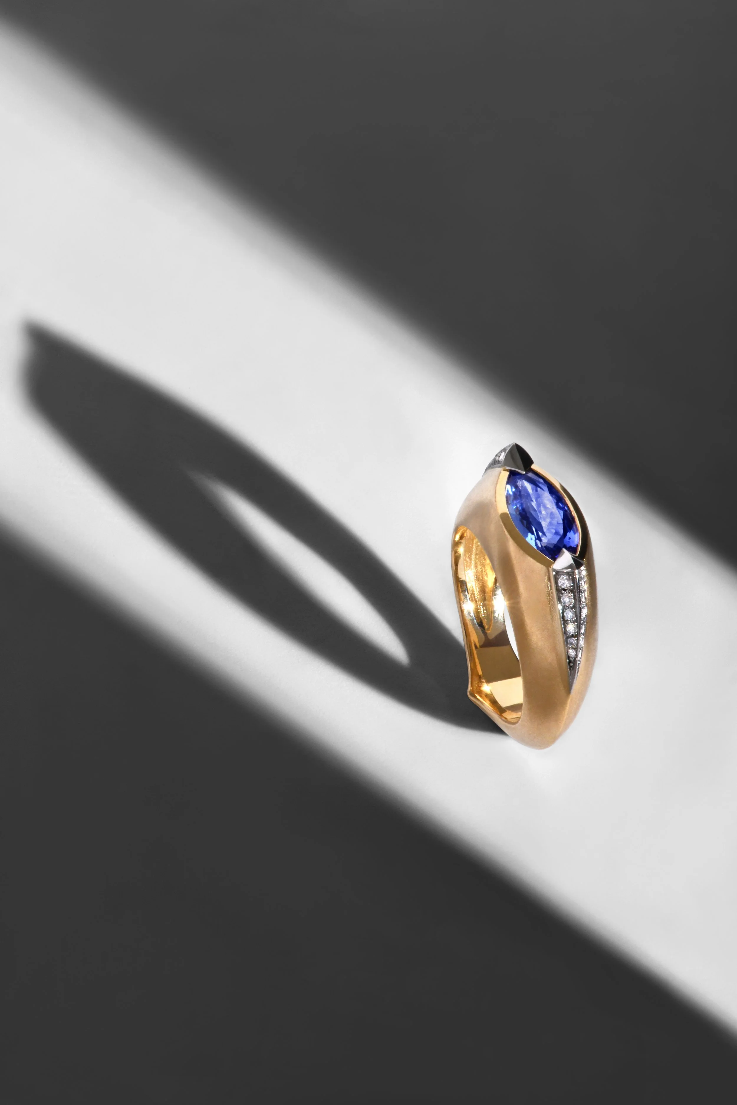 Capucine H - Horizon ring tanzanite 2.jpg