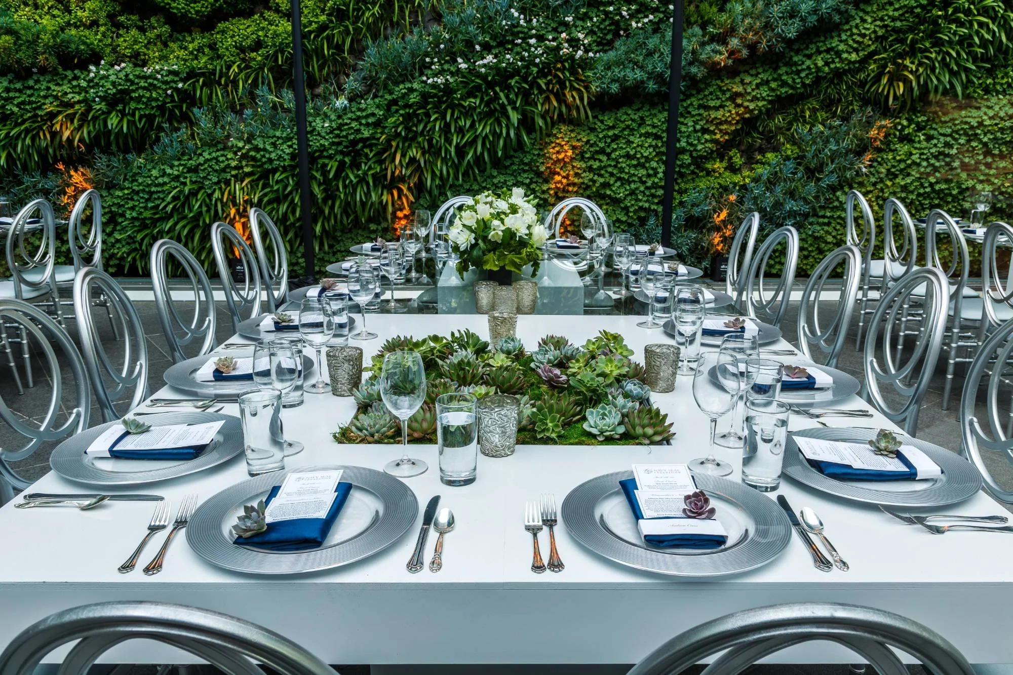 Formal place settings with silver chargers, navy napkins and a succulent centerpiece