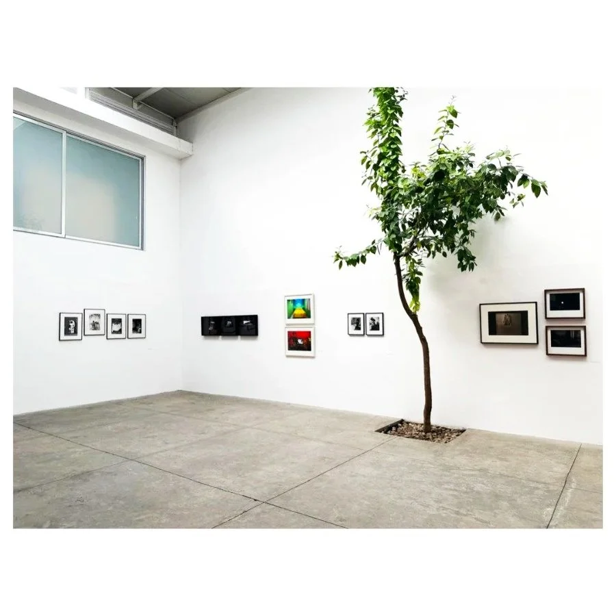 SEMINARIO: APRECIACIÓN VISUAL