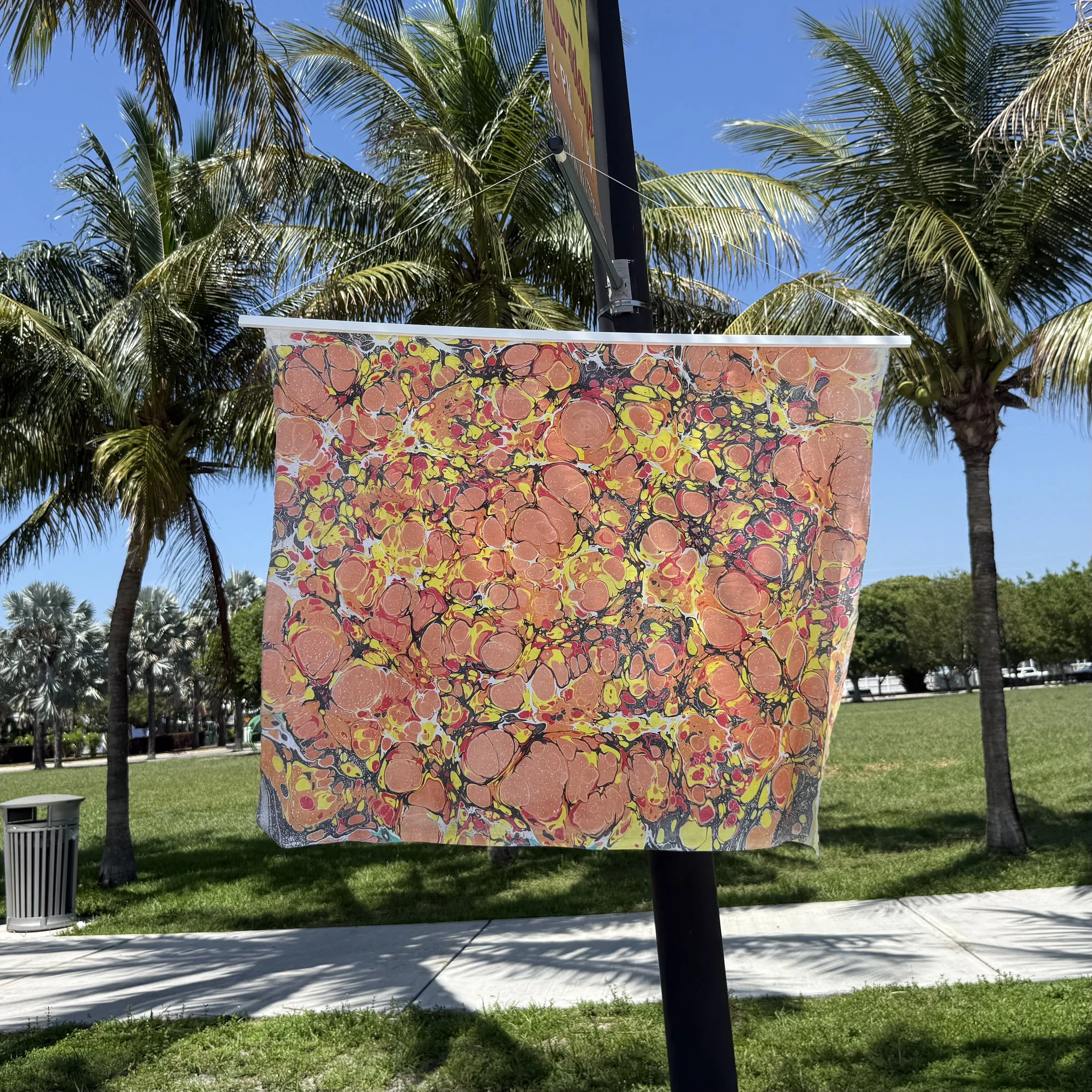 IMG_0251.jpeg