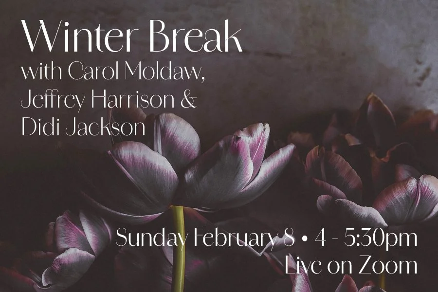 Winter Break: a reading with Carol Moldaw, Jeffrey Harrison &amp; Didi Jackson