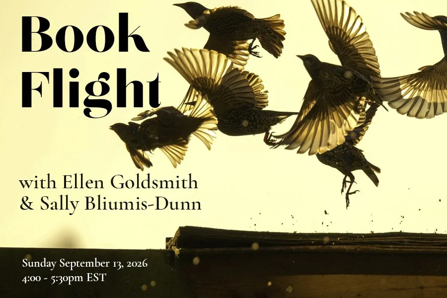 Book Flight: a curated flight of new books
