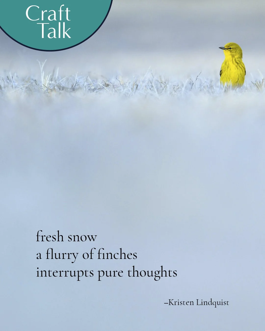 haiku craft talk-2.jpg