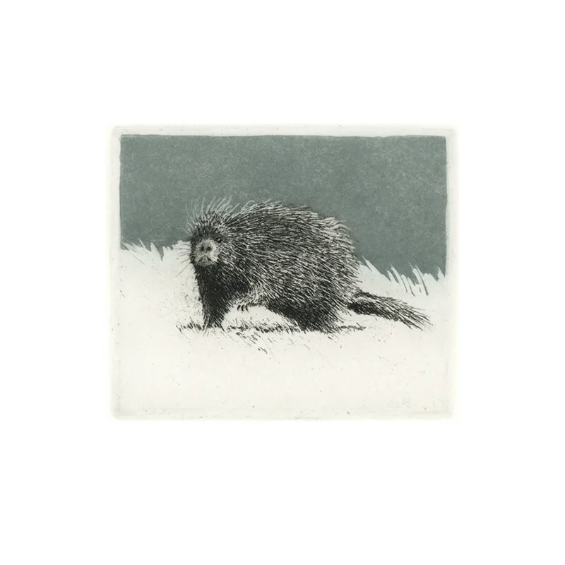 Porcupine