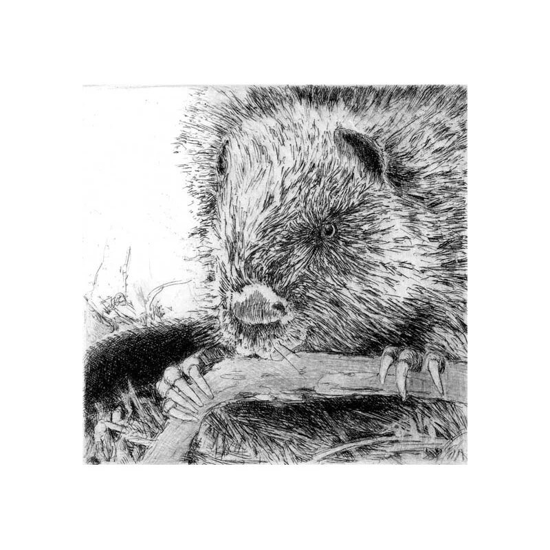 Beaver