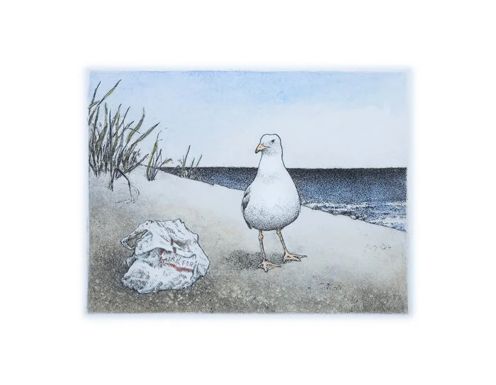 seagull_with_garbage.jpg