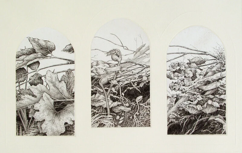My Religion Has Something to do with Compost - triptych