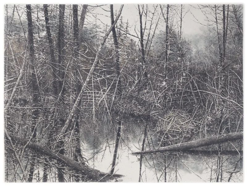 North Country Cedar Swamp