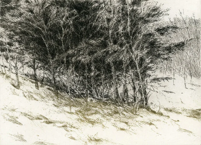 Hillside Thaw