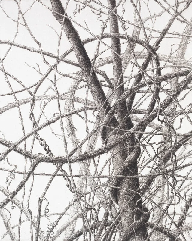 Entangled