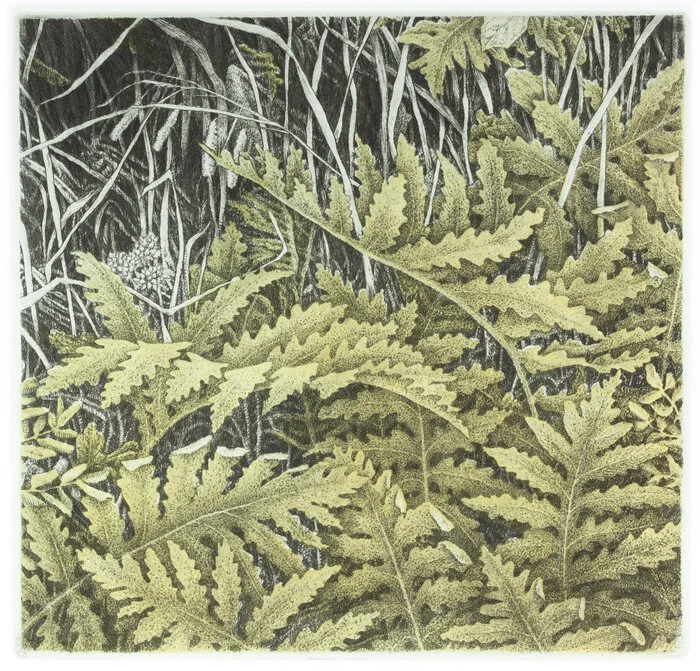 Wetland - Late Summer