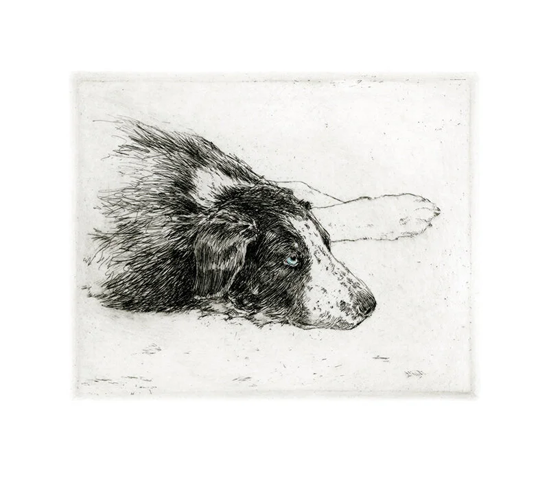 dog_with_blue_eye.jpg