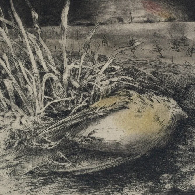 The Canary Has Died