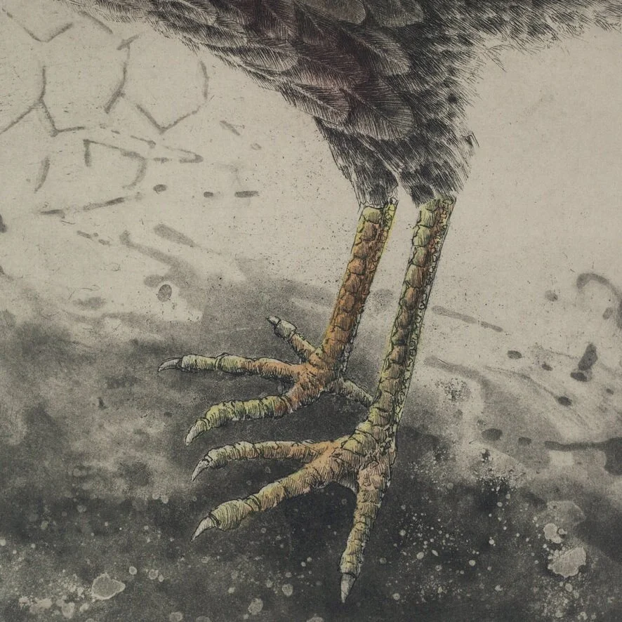 The Dinosaur Legs of a Chicken