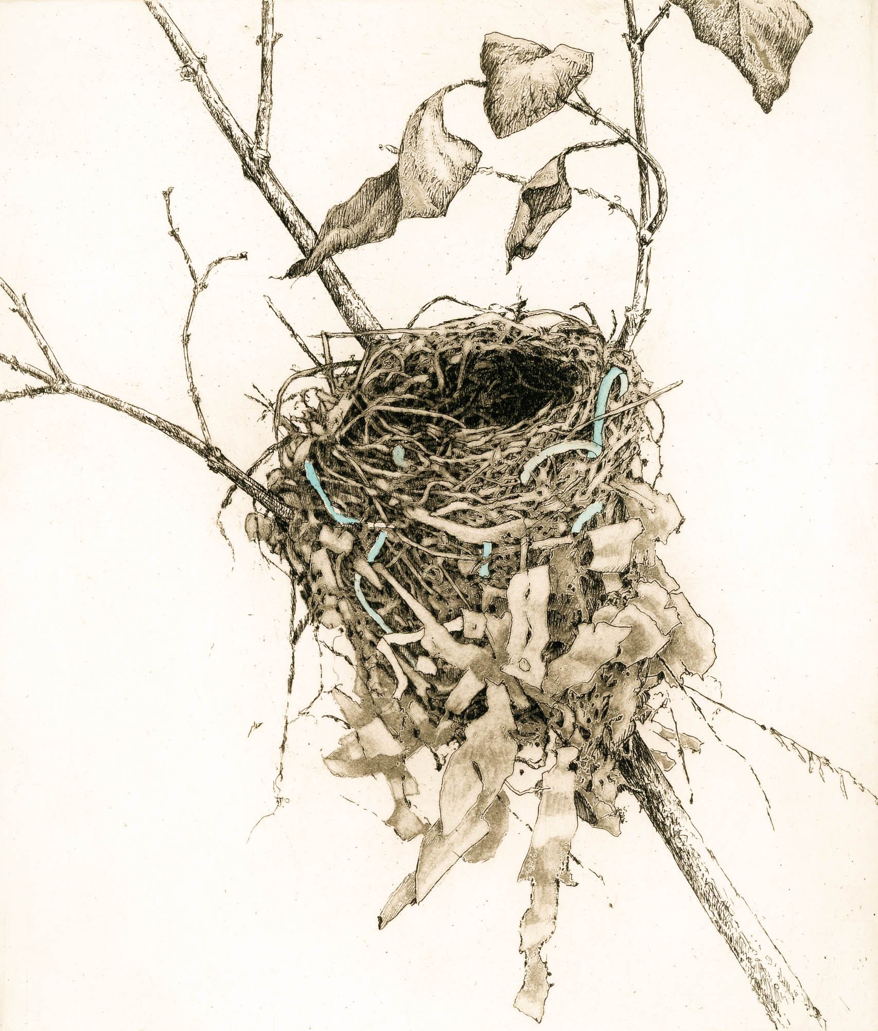 Download Birds Nest Line Art Royalty-Free Vector Graphic - Pixabay