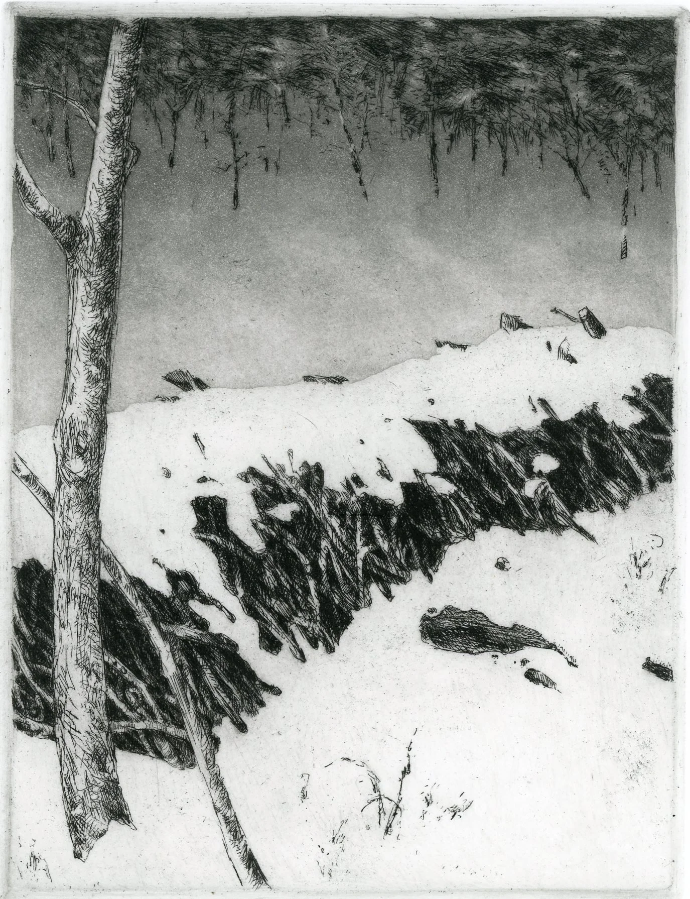 beaver dam in winter002.jpg