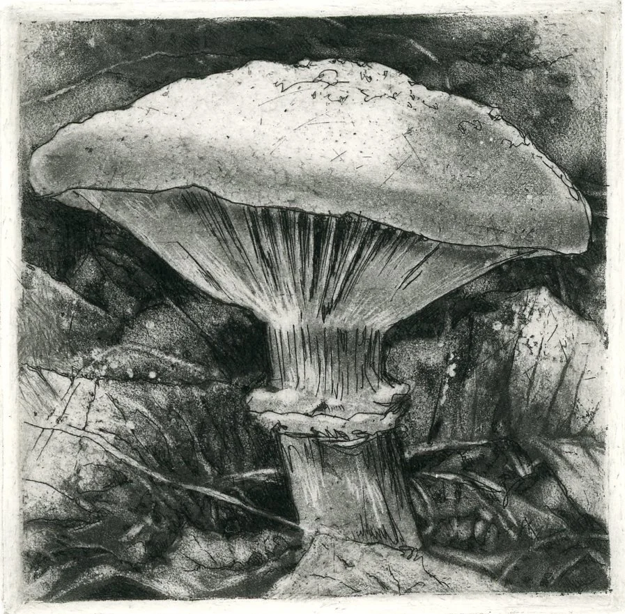 unidentified mushroom.jpg