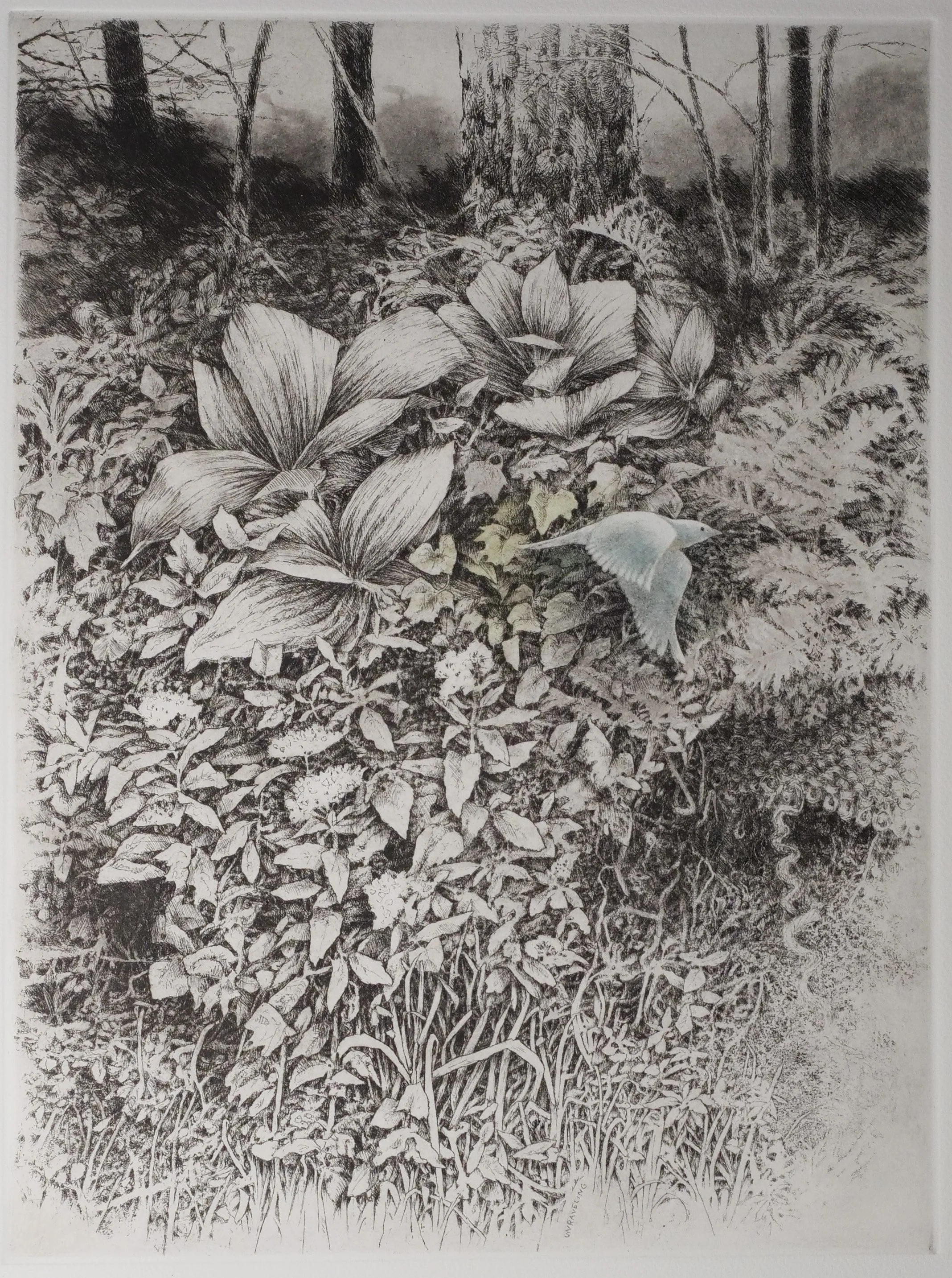 Tangled Bank (second state)