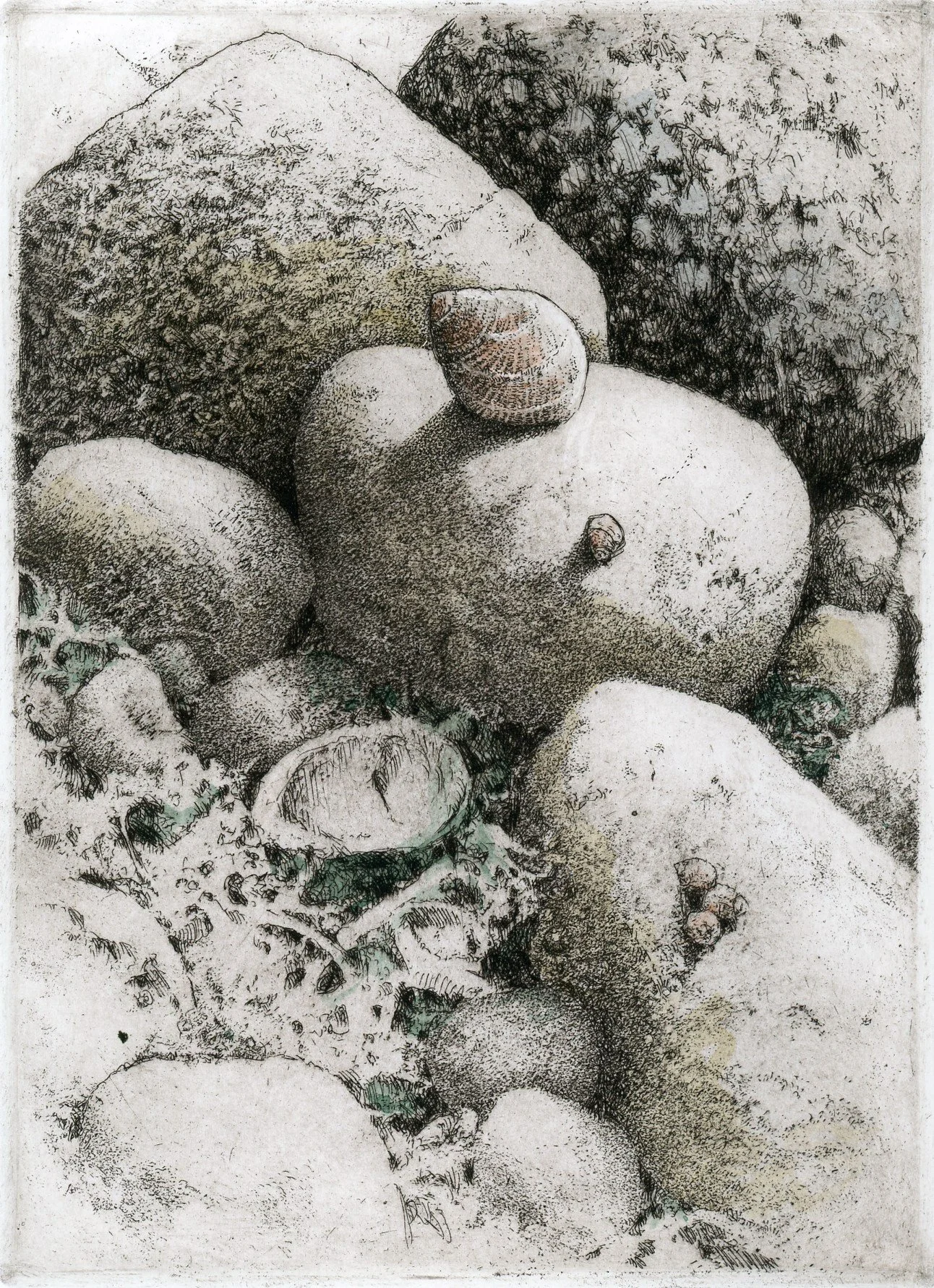 Low Tide with Snail Shadows