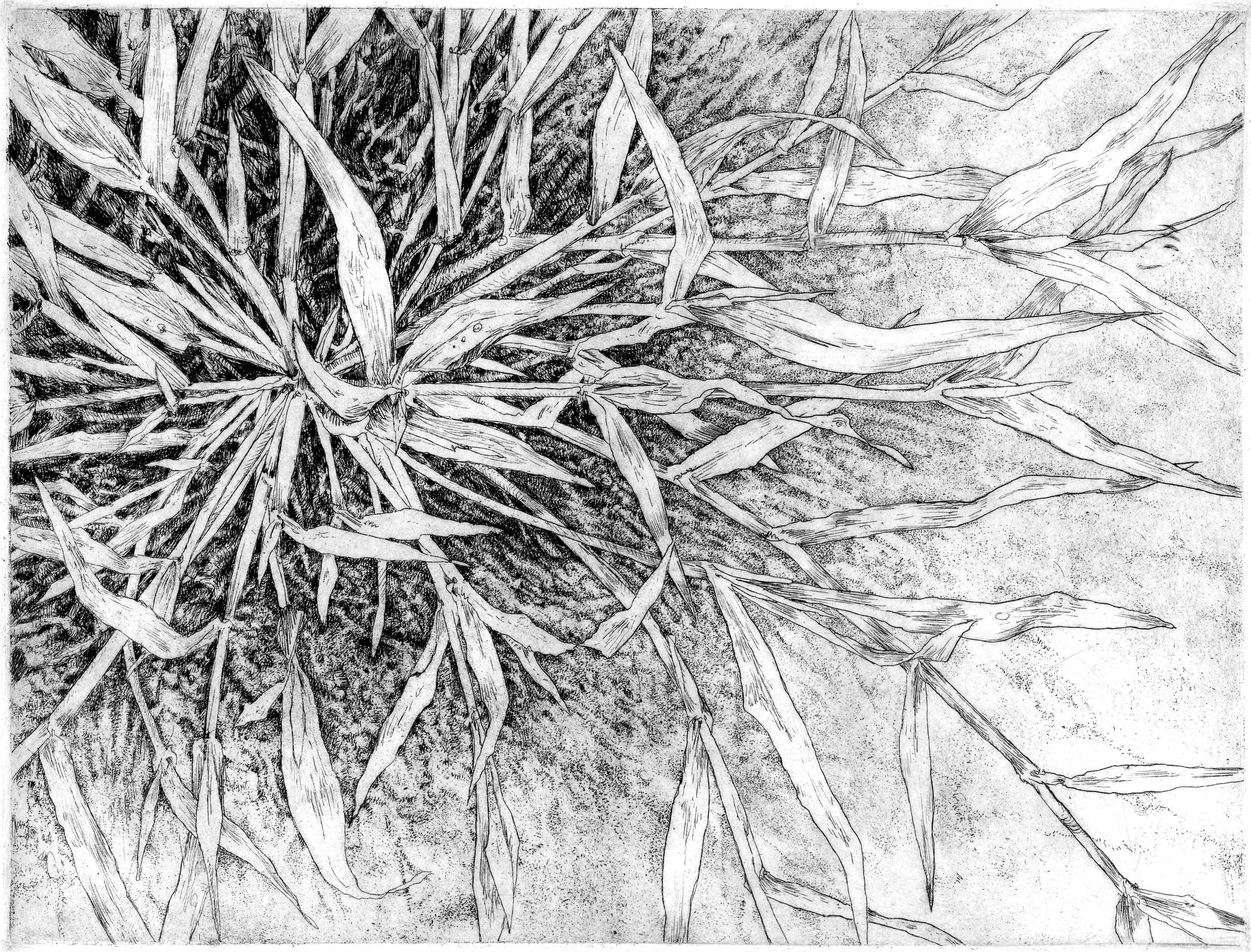 Crabgrass - Timing is Everything