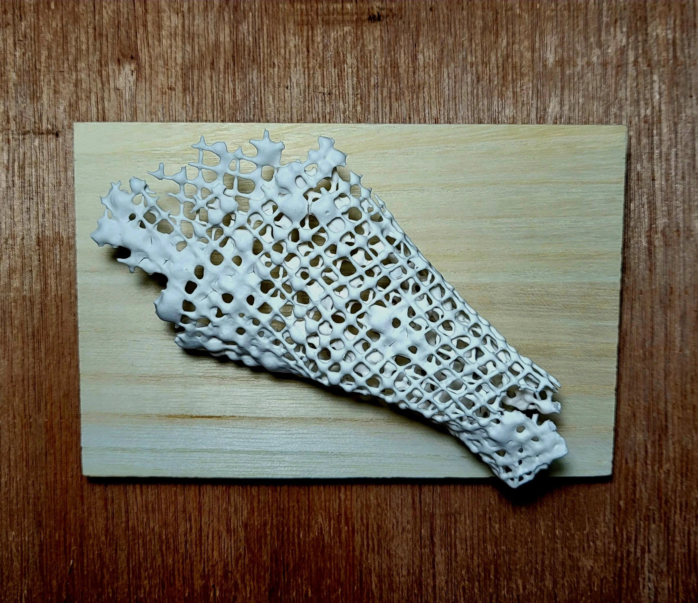 Jamila_Stacy_Eki-ka no Hanaya.jpg