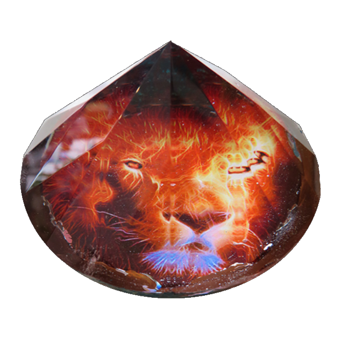 lion2TRANSMITTER 2X3 IN Glass Oject a (1).png