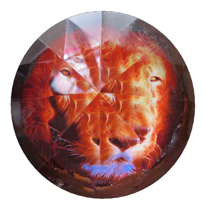 lionL TRANSMITTER 2X3 IN Glass Oject a (1).png