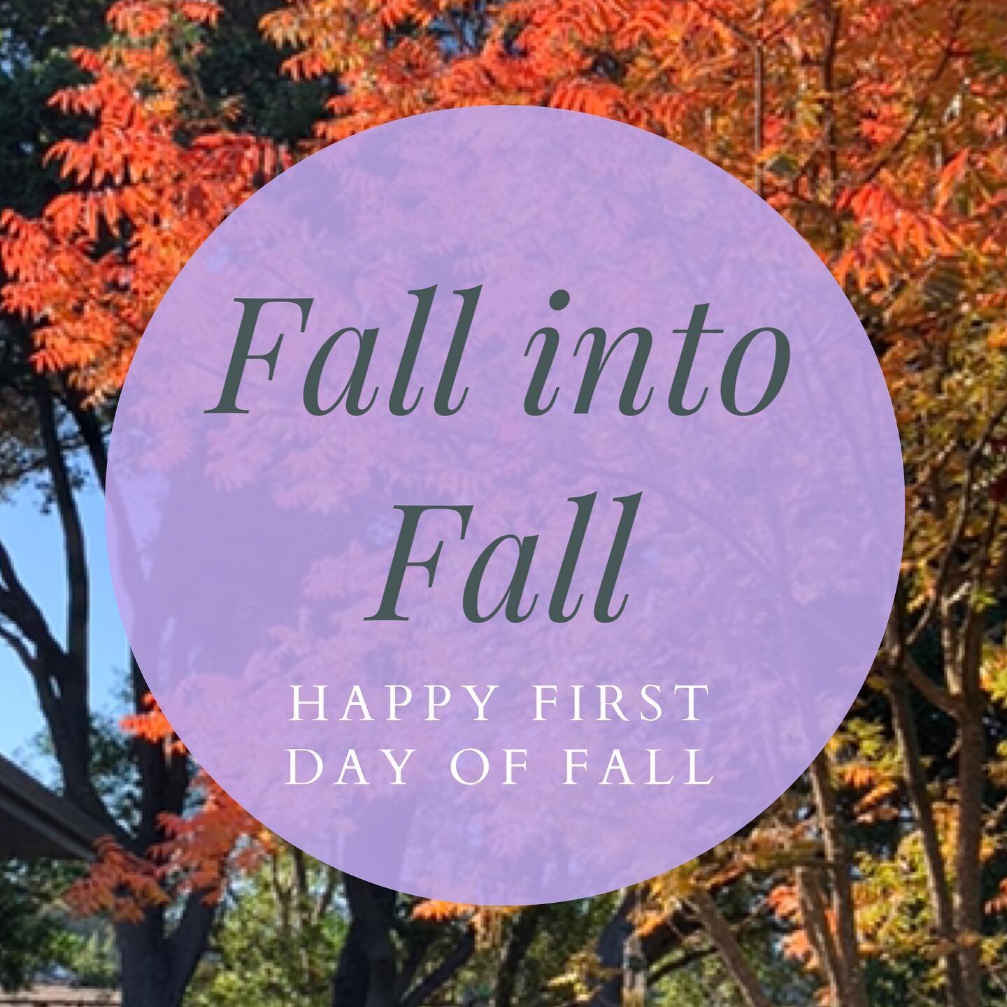 Fall is here! Hopefully, we can reopen our coffee shop soon to offer you all the seasonal Fall special drinks and pastries. Happy Autum Day to all our friends!🍁

#fall #autumn #coffee #coffeeshop #seasonal #specials #special #drinks #pasteries #happ