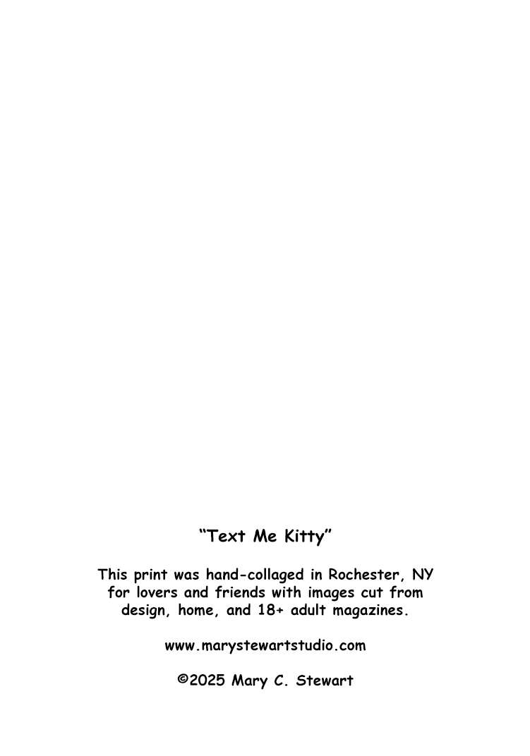 2025-08-15_46 BACK - Text Me Kitty.png