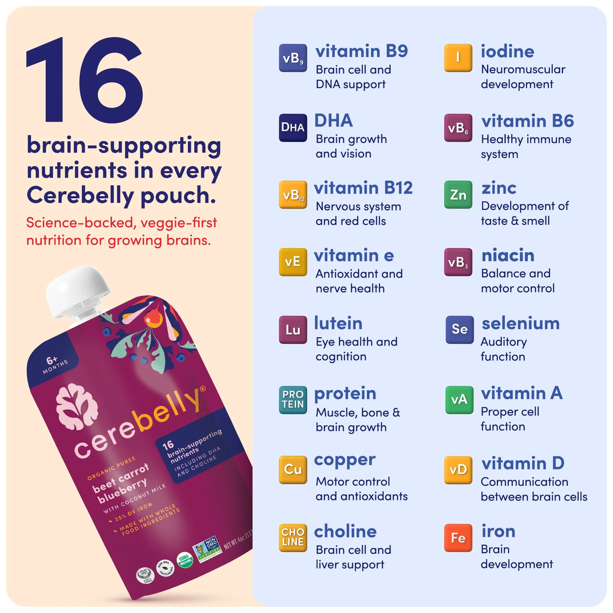 _PDP-TEMPLATE_Cerebelly Nutrients_1.jpg