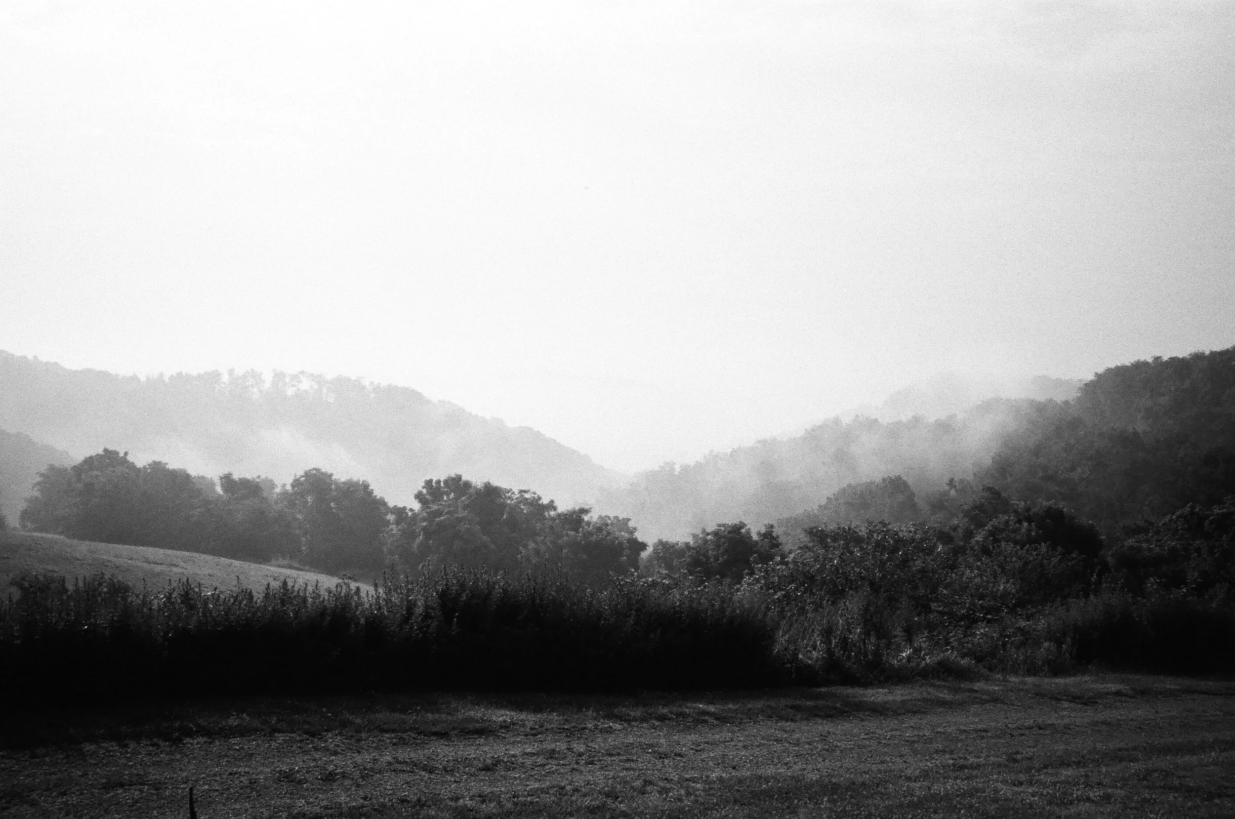 Black and white landscape photo of rolling hills with trees, mist, and cloudy sky.