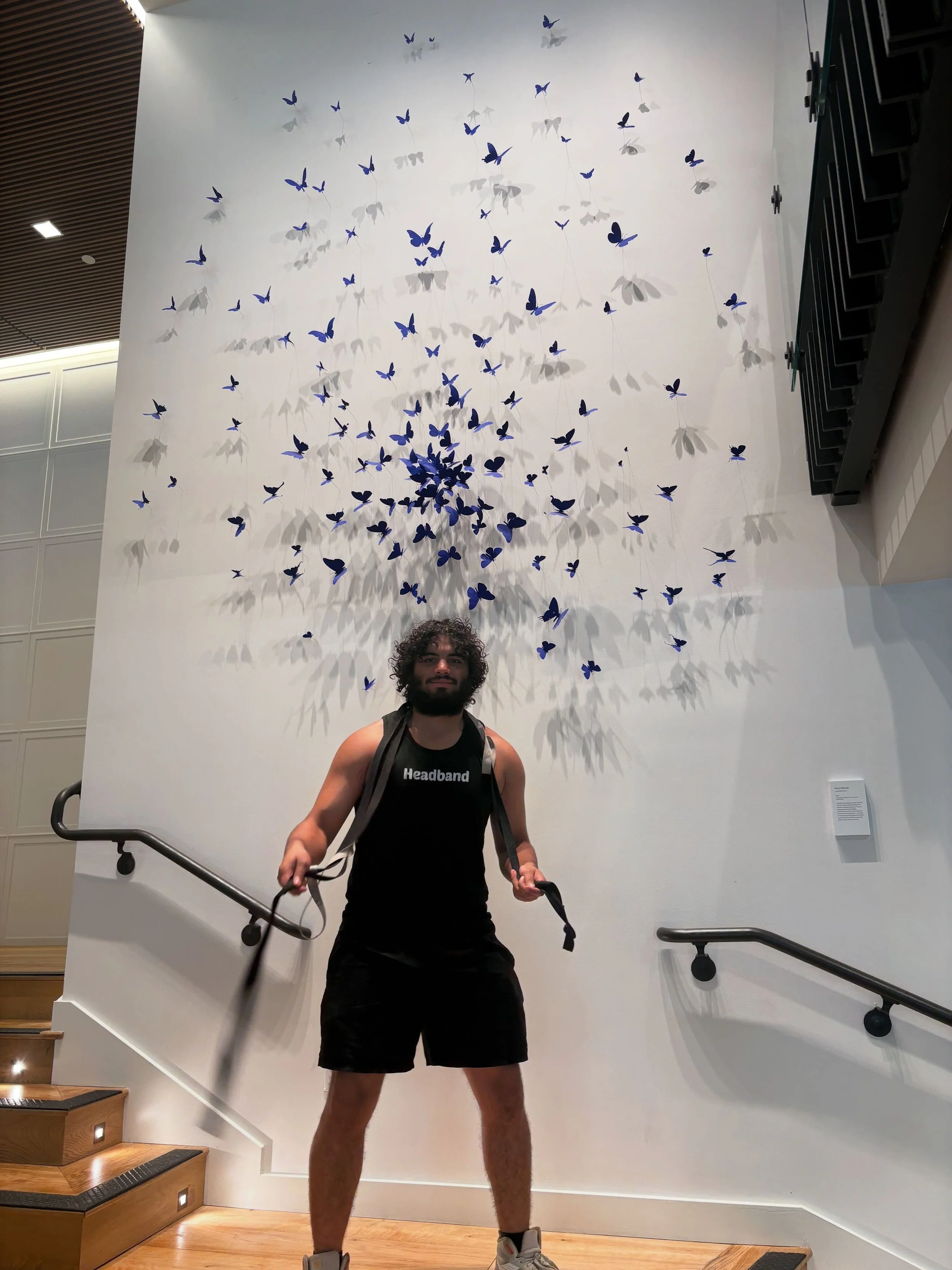 Headband Movers Blog Recap: Challenging Moves Across Denver & Arvada